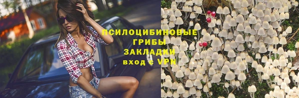 не бодяженный Алексин