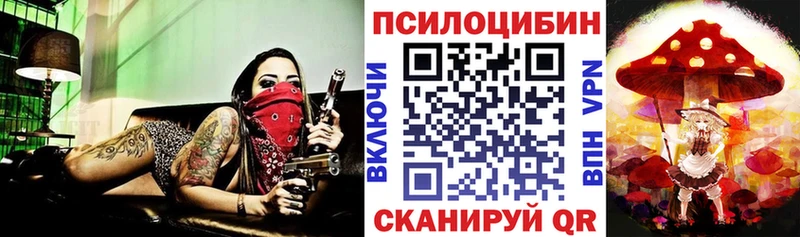 blacksprut ONION  Переславль-Залесский  Псилоцибиновые грибы Psilocybine cubensis 